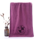 فوطه امتصاص سوائل مايكروفايبر طبقتين ٢ لون وش وضهر وعلاقه