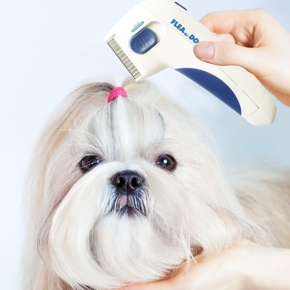 مشط شعر لإزاله القمل والبراغيت من الحيوانات الاليفة