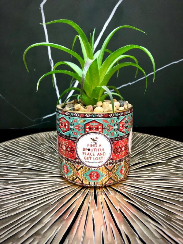 زرع صبار صناعي بقاعدة سيراميك بأشكال مختلفة