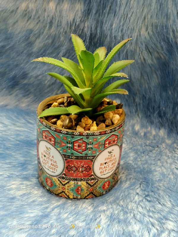 زرع صبار صناعي بقاعدة سيراميك بأشكال مختلفة