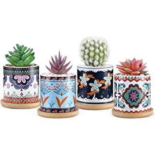 زرع صبار صناعي بقاعدة سيراميك بأشكال مختلفة