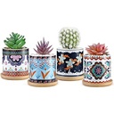 زرع صبار صناعي بقاعدة سيراميك بأشكال مختلفة