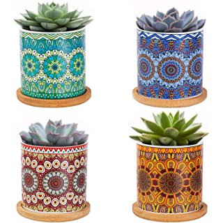 زرع صبار صناعي بقاعدة سيراميك بأشكال مختلفة