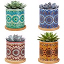 زرع صبار صناعي بقاعدة سيراميك بأشكال مختلفة