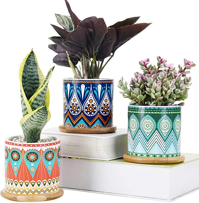 زرع صبار صناعي بقاعدة سيراميك بأشكال مختلفة