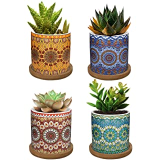 زرع صبار صناعي بقاعدة سيراميك بأشكال مختلفة