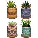 زرع صبار صناعي بقاعدة سيراميك بأشكال مختلفة