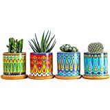 زرع صبار صناعي بقاعدة سيراميك بأشكال مختلفة