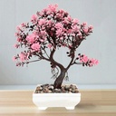 شجرة الاحلام لتجديد ديكور البيت بالوان مختلفة مبهجة