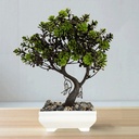 شجرة الاحلام لتجديد ديكور البيت بالوان مختلفة مبهجة