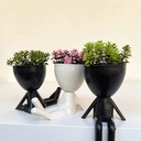 ورد صناعي روبوت باشكال باوضاع مختلفة لتجديد الديكور