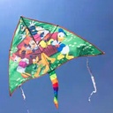 طياره شراعيه للبحر