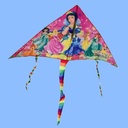 طياره شراعيه للبحر