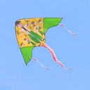 طياره شراعيه للبحر