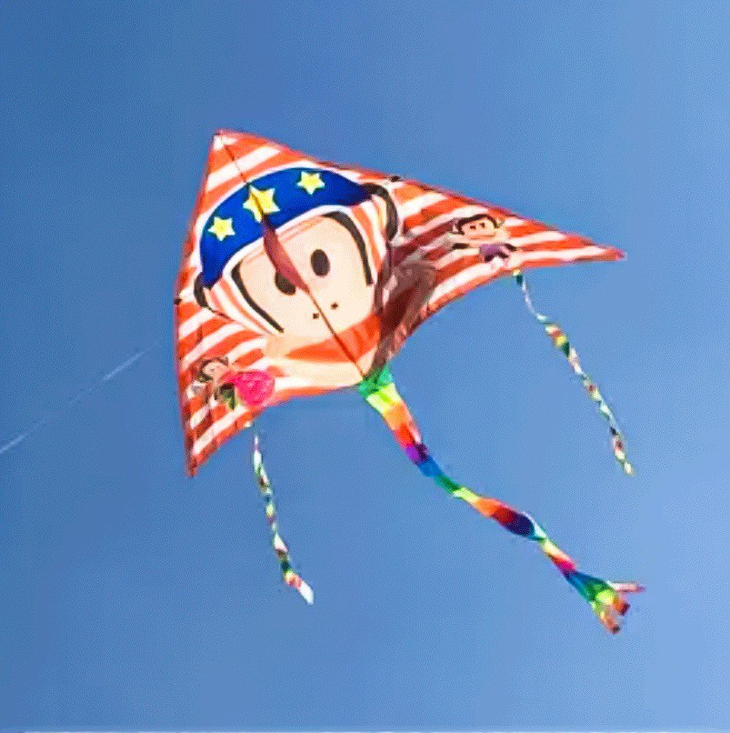 طياره شراعيه للبحر