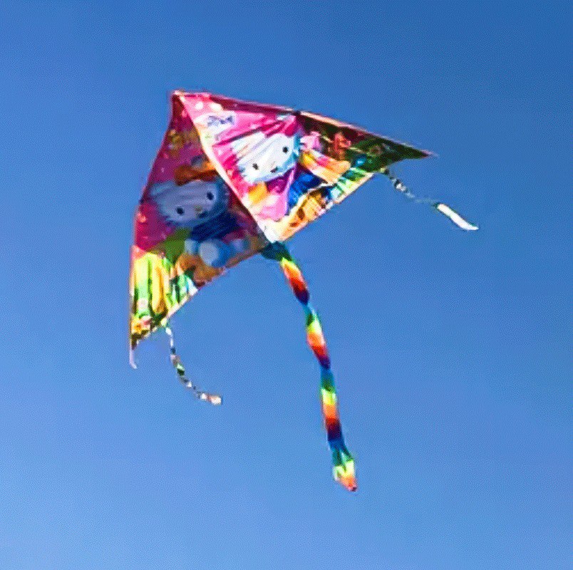 طياره شراعيه للبحر