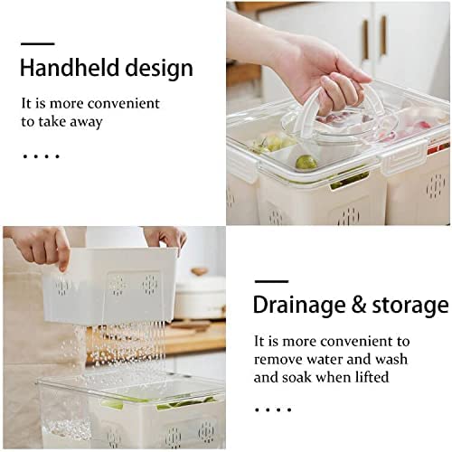 علبة ثلاجة مقسمة ك 190