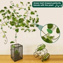 دبل فيس اخضر