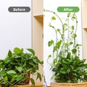 دبل فيس اخضر