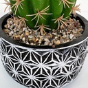 اصيص صبار صناعي من الفخار مزخرف باللون الابيض والاسود لتجديد ديكور المنازل والشركات