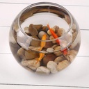 فازه بدون غطاء