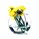 فازه بدون غطاء