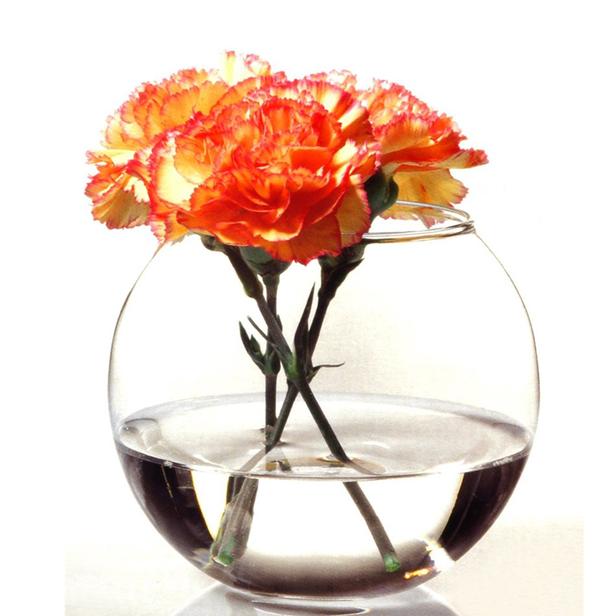 فازه بدون غطاء