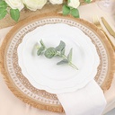 كوستر شراشيب