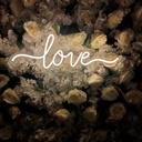 Love Neon