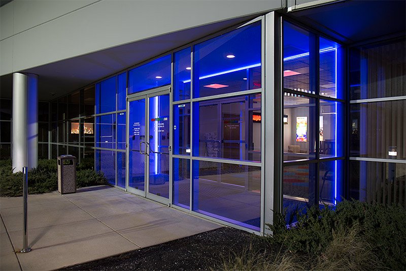 Neon Flexible Strip Light 5 M