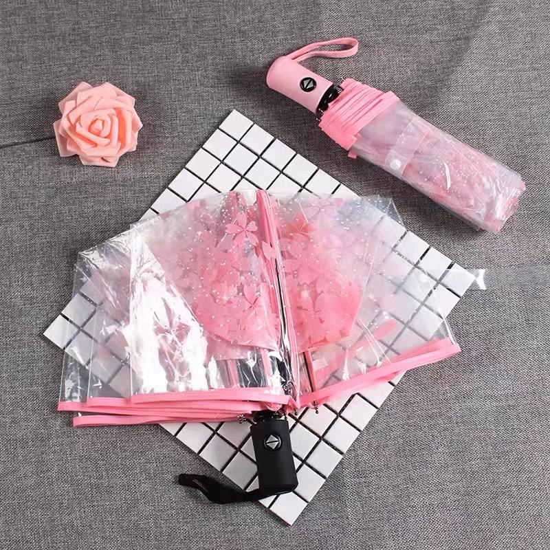 شمسية شفافة SA 051