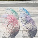 شمسية شفافة SA 051