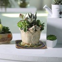 طقم كوستر قطعتين حامل للاكواب والحلل وقطع الديكور باشكال بوهيمية مختلفة