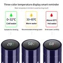 مج حراري لحفظ حرارة المشروبات بشاشة ديجيتال لعرض درحة الحرارة ومصفاه استانليس ستيل باشكال نجوم الفضاء 500 ملي