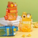 Mars Flask with 2 Drinking Options 600 ml