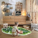 دواسه ورقه شجر