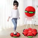 كوره طبق طائر