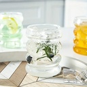 مج بومبيه زجاجي بايركس طويل للايس كوفي والعصائر المثلجة والكابتشينو