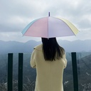 شمسية بالون زهرية مبهجة للحماية من المطر