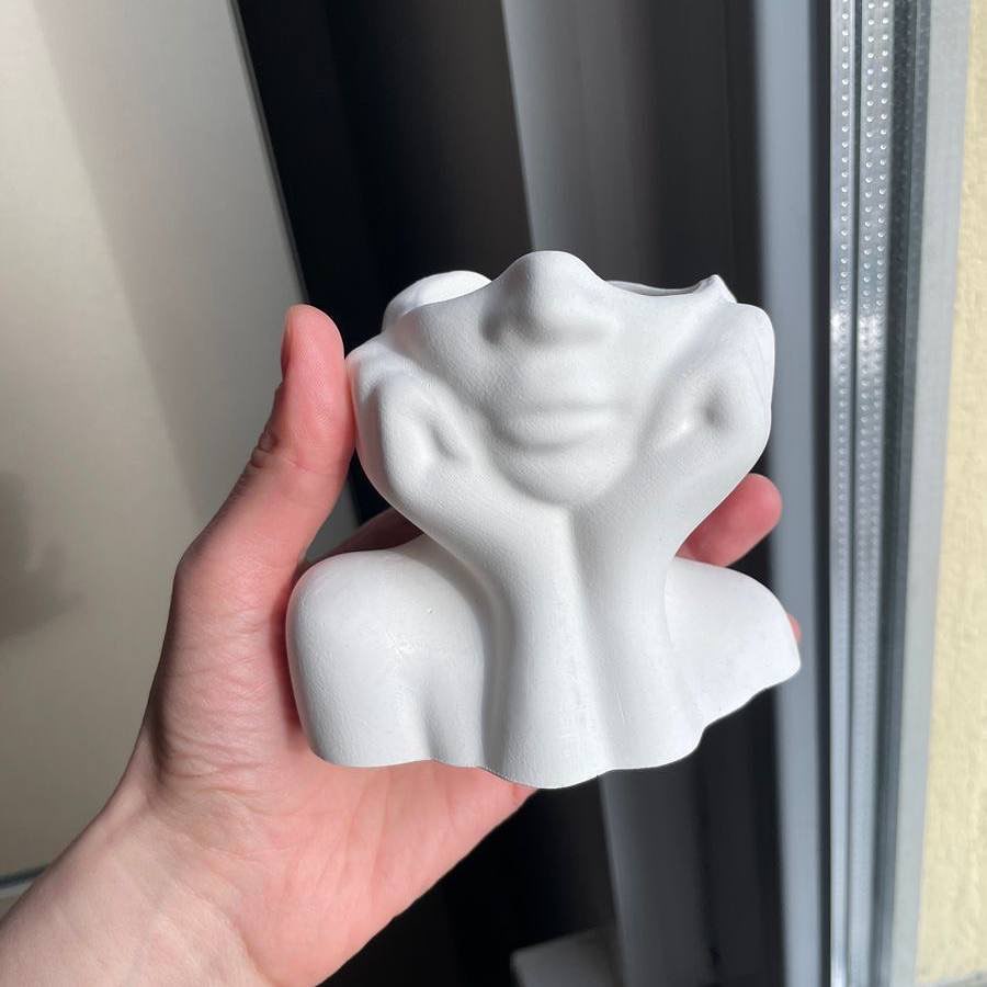 مجسم علي شكل نصف وجهه ثري دي لتغير شكل ديكور البيت