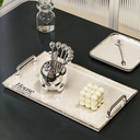 صينية هاوس لحمل وتقديم المشروبات للضيوف بشكل شيك بمقبض يد باللون السليفر من الاكليريك