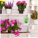 رف معدن متعدد الاستخدامات بهوك لتعليقه ف درف المطبخ و الحمام لتنظيم و ترتيب الادوات بسهولة