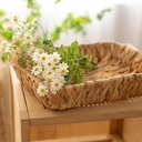 طقم صواني خوص 3 قطع مربع الشكل بمقاسات مختلفة لحمل وتقديم الفواكه والخضروات والمناديل