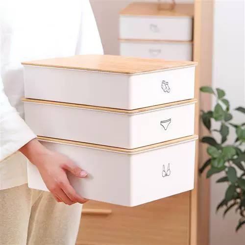 منظم ملابس 10 خانات بلاستيك بغطاء خشبي لتنظيم الملابس الداخلية والشربات و ربطات العنق