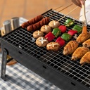 شواية فحم ميني محمولة قابلة للطي للشواء في المتنزهات والحدائق