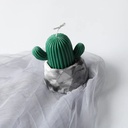 شمعة الصبار ذات الرائحة العطرة لتضفي جو من الرومانسية والإسترخاء