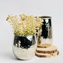 اصيص زرع بتصميم ديكوري مزخرف _ باللون الفضي