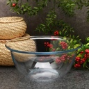 بولة بايركس لتقديم وتناول السلطات والشوربة والسناكس