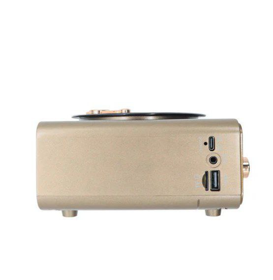 راديو بتصميم جرامافون كلاسيكي قابل للشحن بيو إس بي