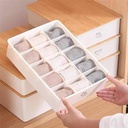 منظم مقسم 10 خانات للملابس الداخلية والشرابات وربطات العنق من البلاستيك بغطاء خشب